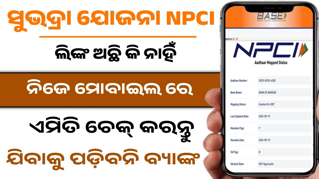 ସୁଭଦ୍ରା NPCI ଏମିତି ଚେକ୍ କରନ୍ତୁ | Aadhaar seeding with bank account | Npci link to bank account | Dbt