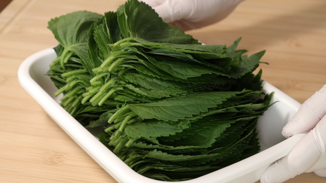 깻잎 한 장씩 바르지 말고 이렇게 하세요! 깻잎 향과 간이 쏙쏙~ 한통 가득 만들어도 남아나질 않아요