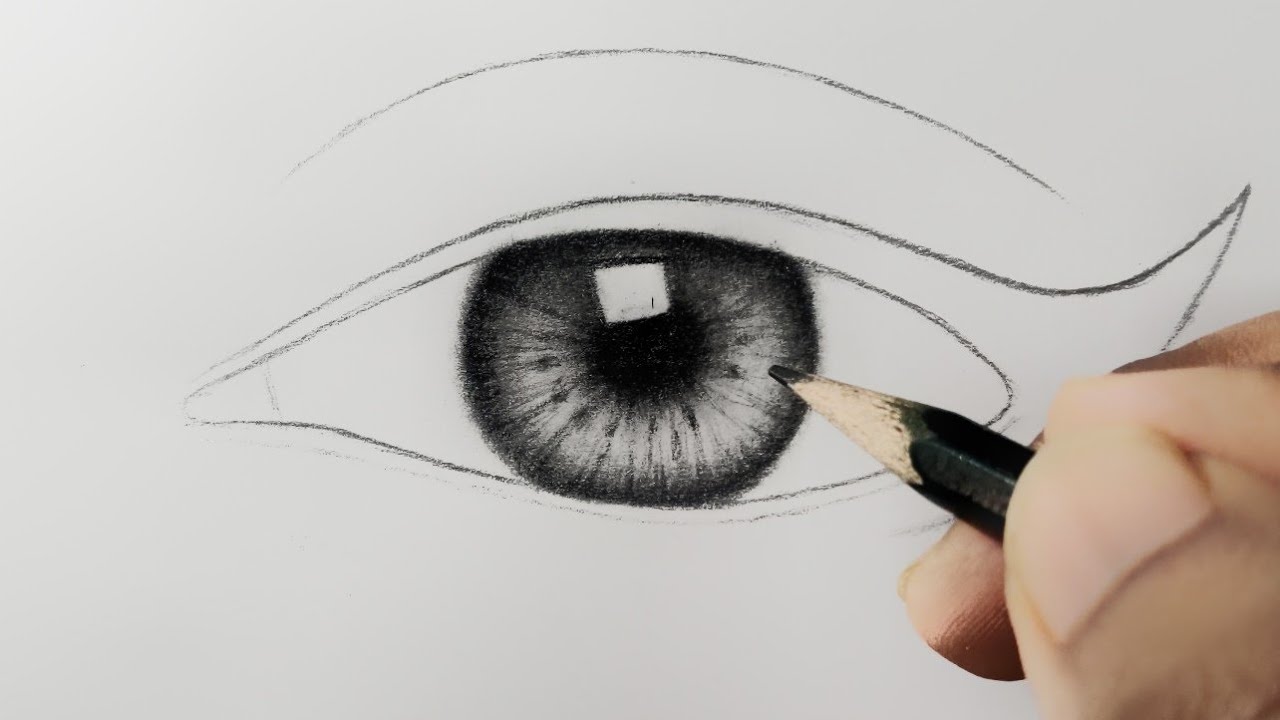 How to Draw a Realistic Iris: Step-by-Step | Iris Insights: Creating Depth and Detail 
