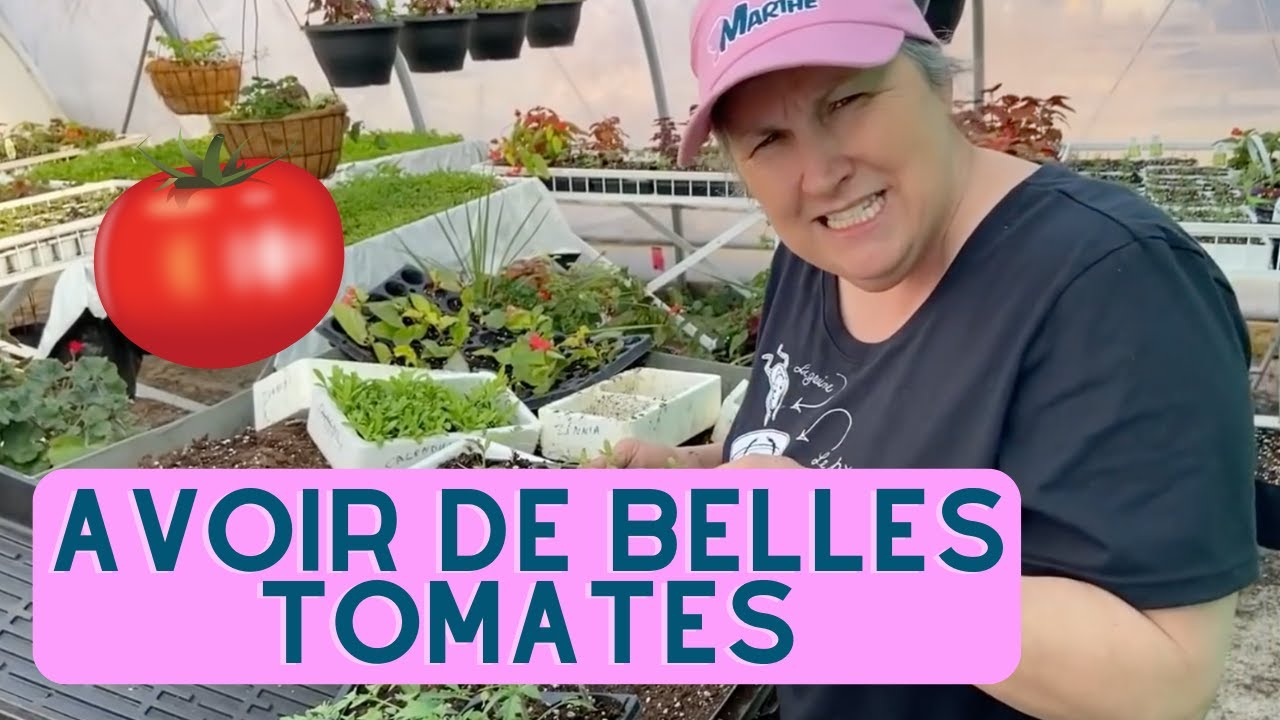 Comment avoir de belles tomates? Partie 2 - Compilation horticole