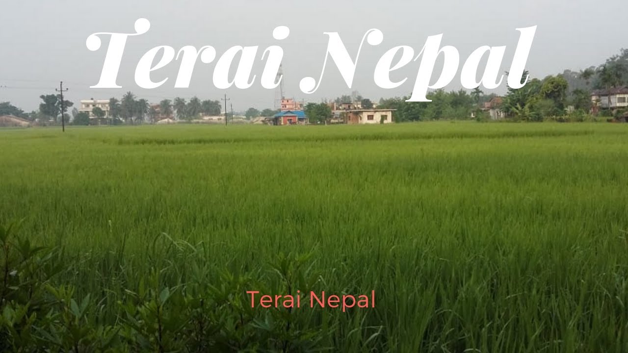 Terai Region of Nepal