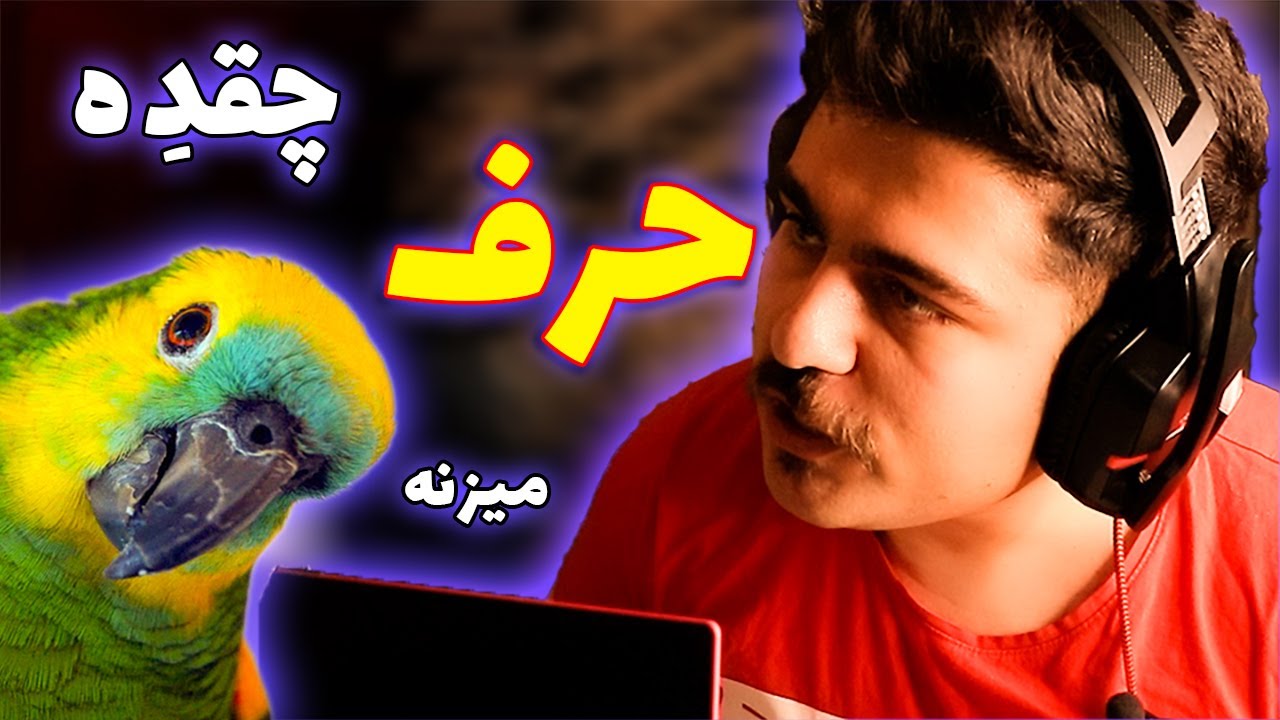 بهترین طوطی های  سخنگو در ایران و جهان + قیمت || Top 10 smartest talking parrots