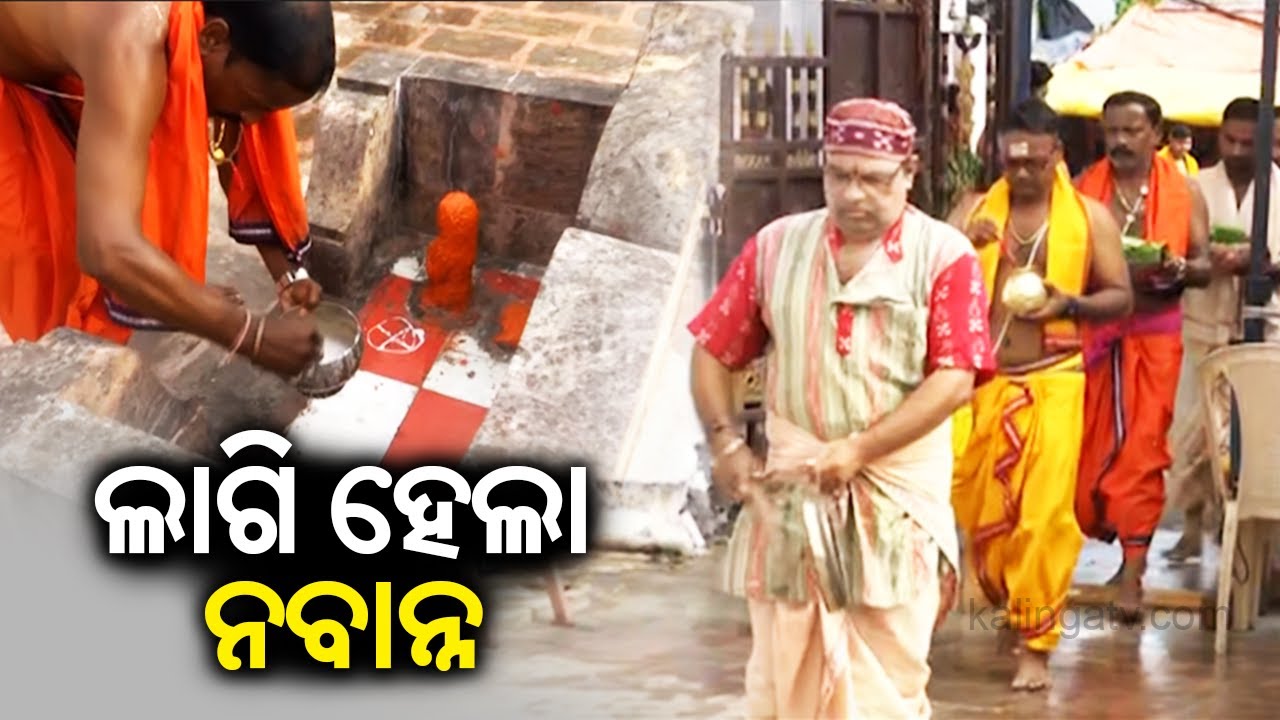 Nuakhai 2024: 'Nabanna Lagi' ritual being observed at Maa Samaleswari Temple || Kalinga TV