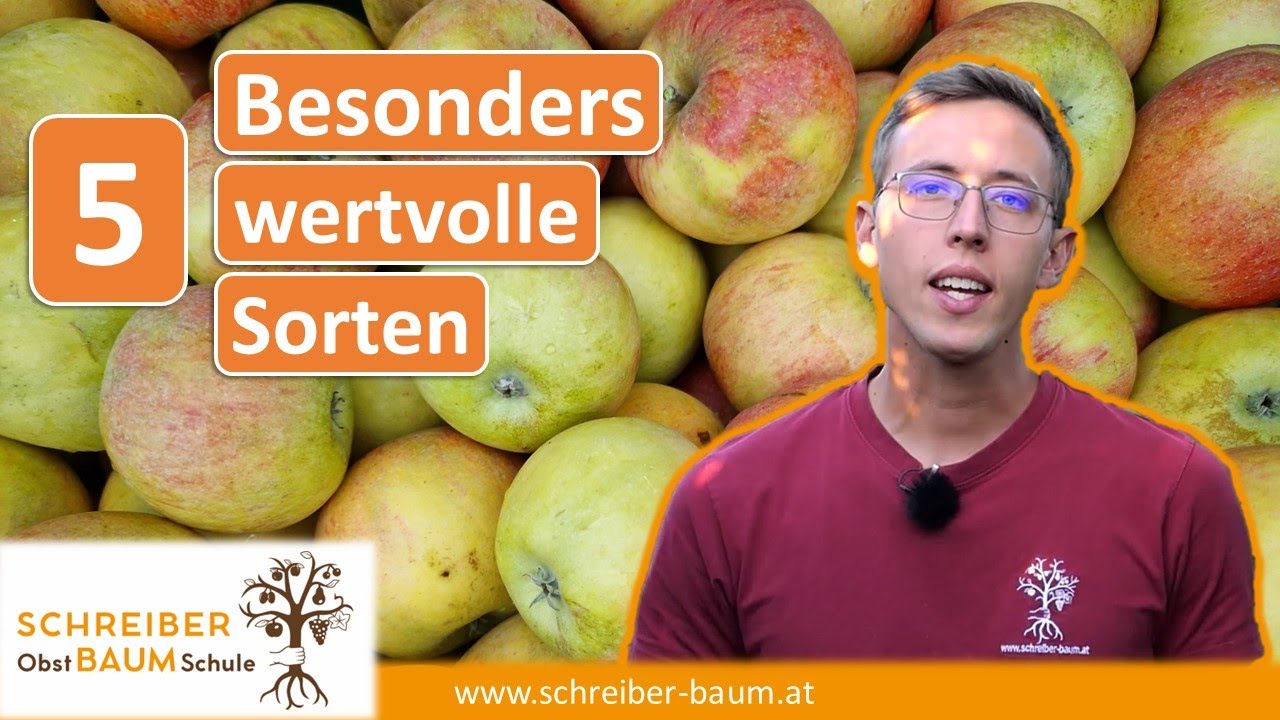 5 kostbare alte Apfelsorten - Tradition, Geschichte und Geschmack, der Generationen &uuml;berdauert