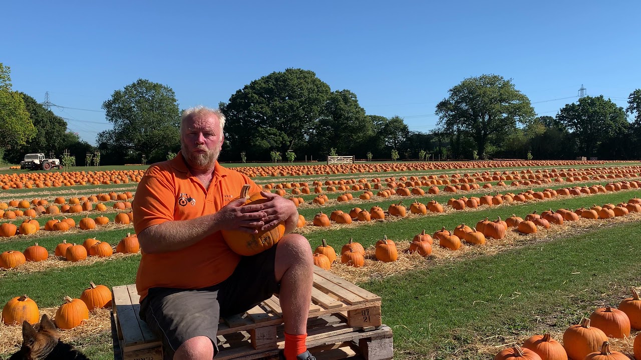 Ian at Sunnyfields Farm - Taste the New Forest