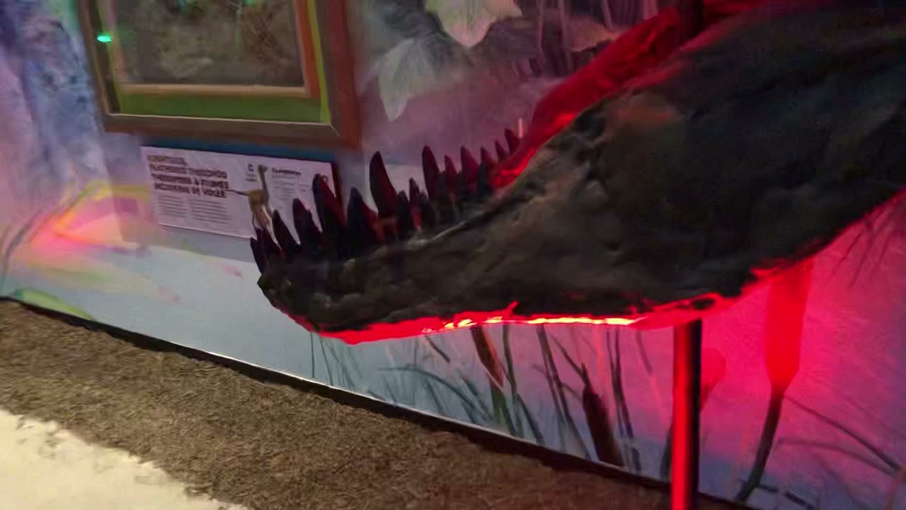 Assiniboine zoo dinosaurs and their natural history. It is a never-ending journey of discovery!