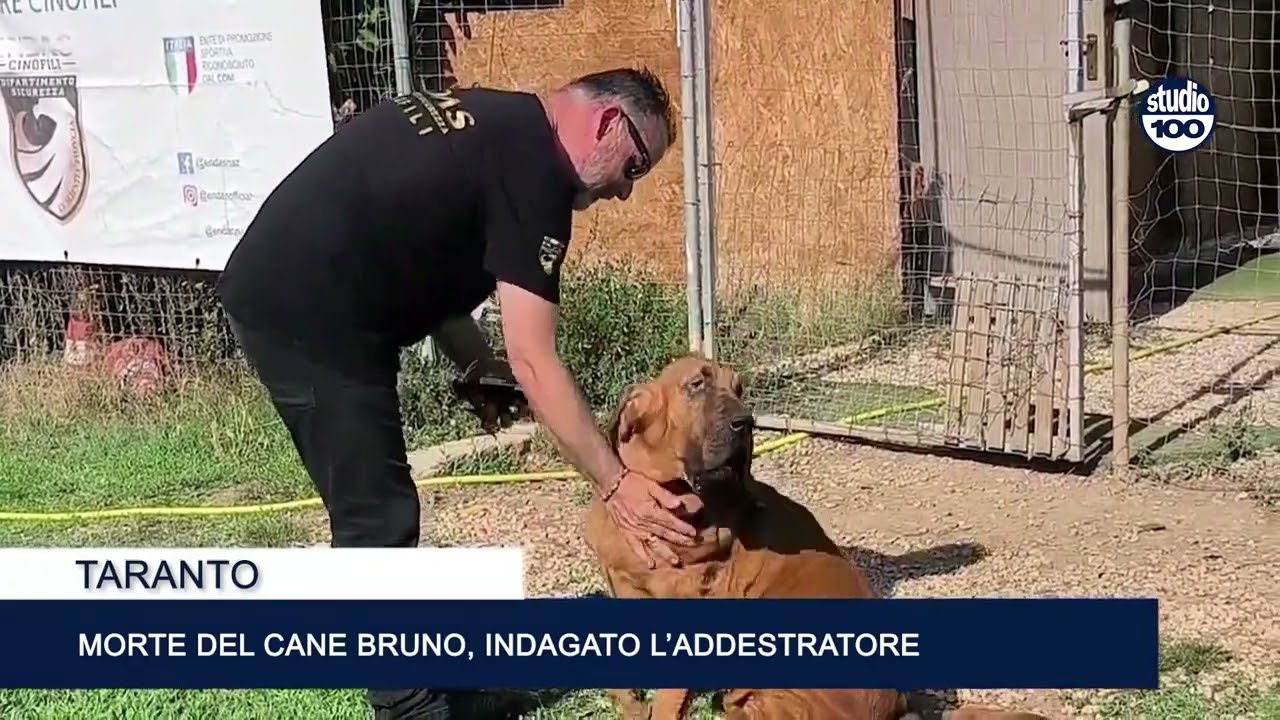 Morte del cane Bruno, indagato l’addestratore per simulazione di reato