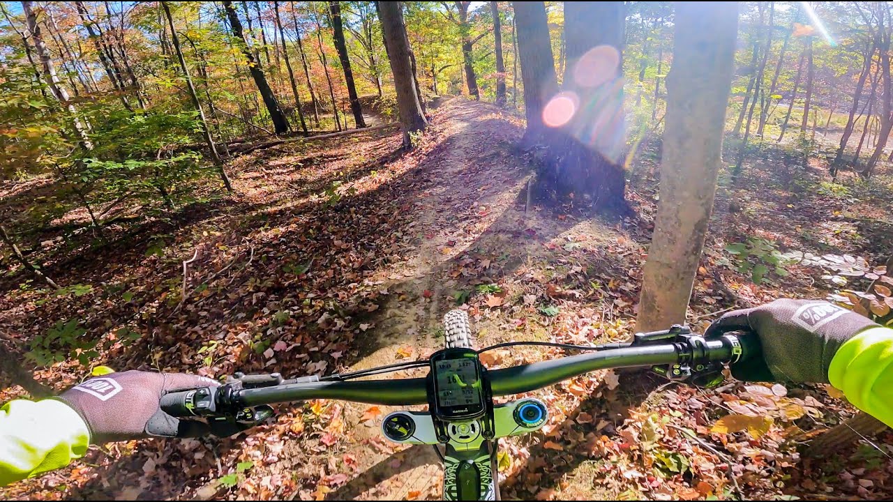 Singletrack Trails // White Park