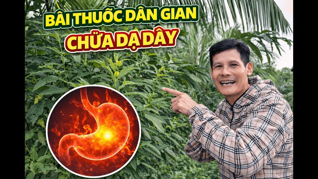 Onghoanvlog  -  Cây Thuốc  Nam đang phát trực tiếp!
