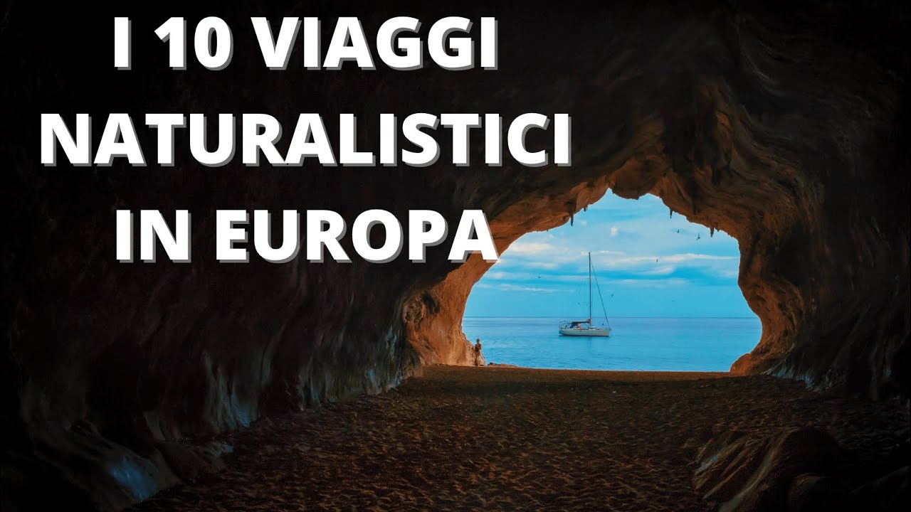 10 VIAGGI NATURALISTICI IN EUROPA per l'avvistamento di SPECIE SELVATICHE 🐻🐬 🐺