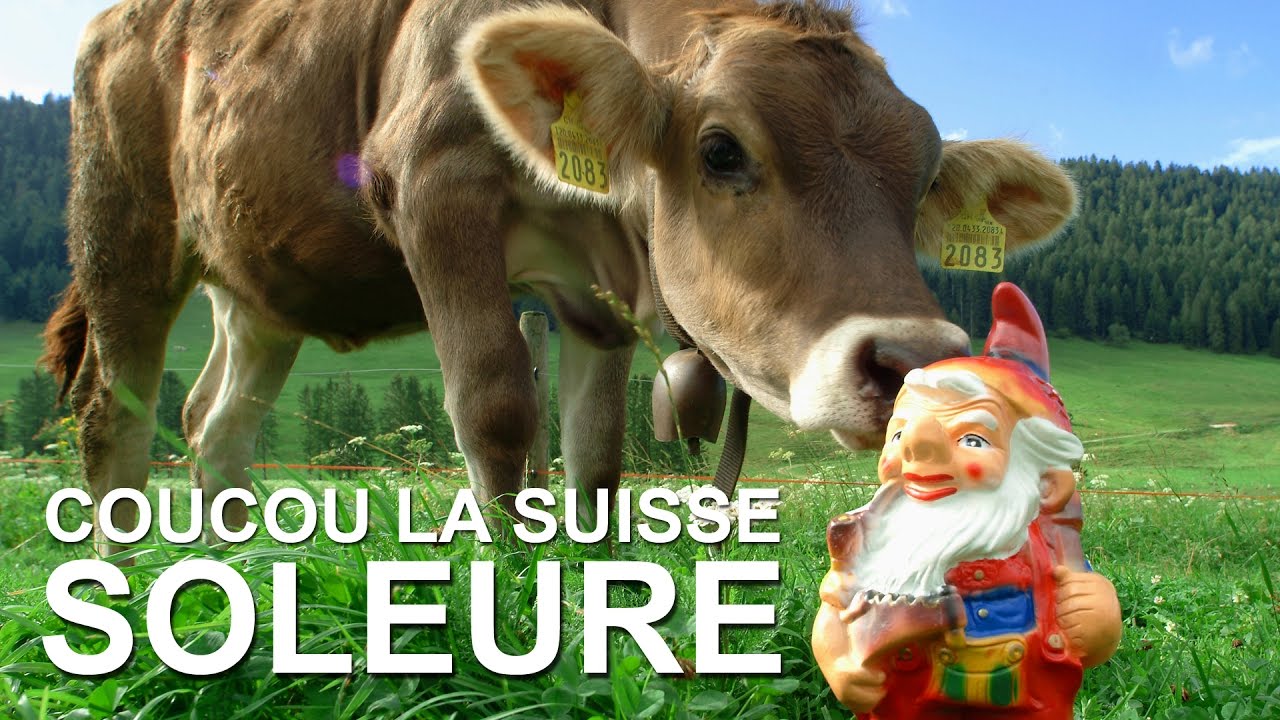 Coucou la Suisse à Soleure : la légende des 11 et les cigognes d'Altreu