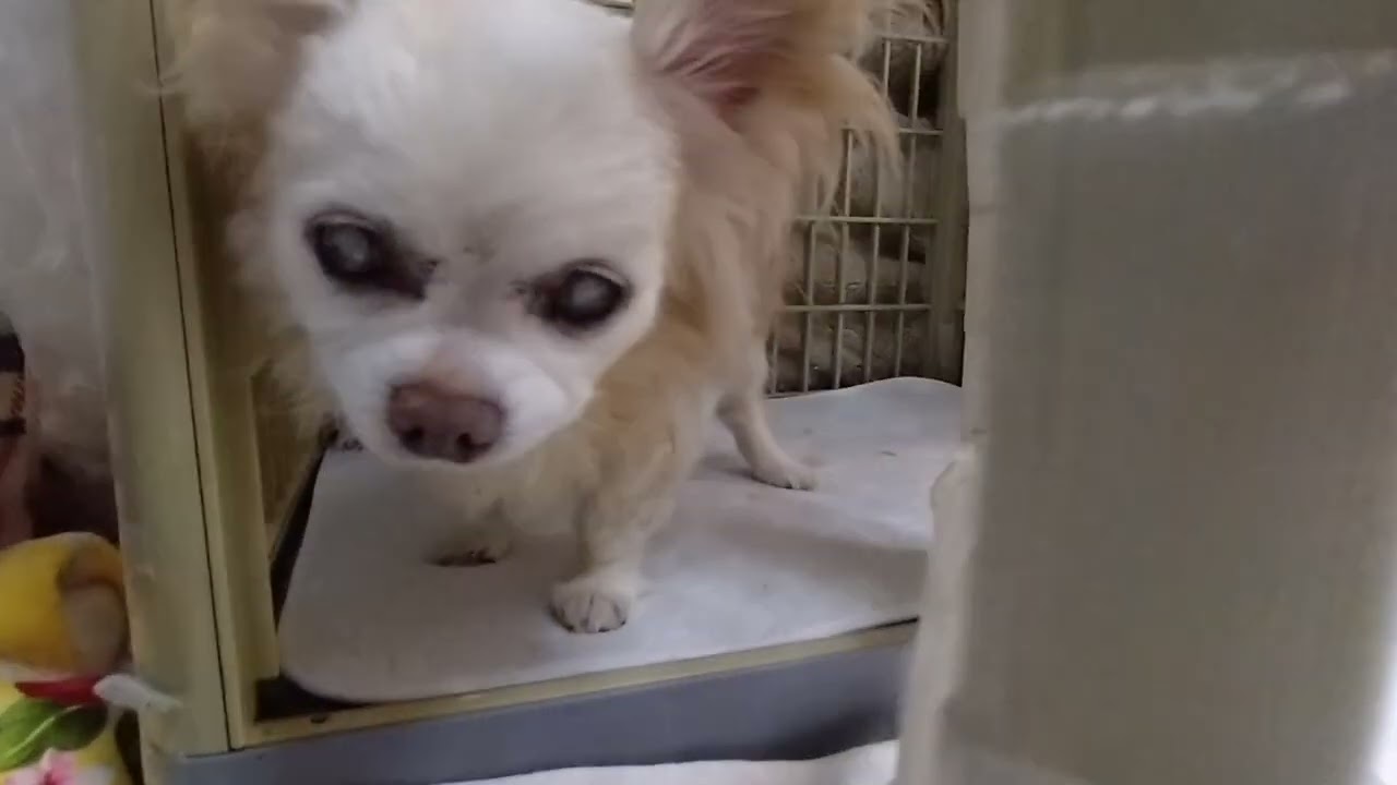 2026/1/30 今週もお疲れ様♥✨️ありがとう✨️♥