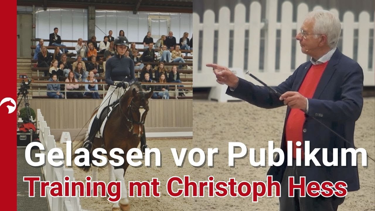 Nachwuchspferd auf Turnierkurs: Selbstbewusst & entspannt🐴