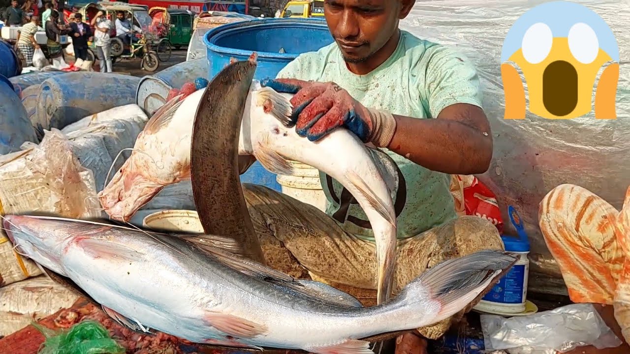 বড় আইর মাছ বটি দিয়ে কি ভাবে কাটিং করে দেখুন ভিডিও Big size Aire fish cutting skills fish market 