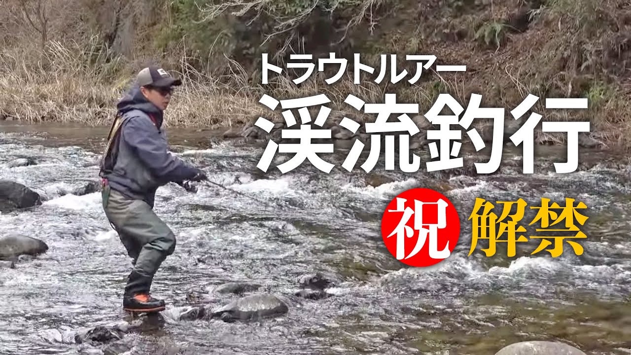 【渓流解禁】栃木県の渓流釣行【トラウトルアー】