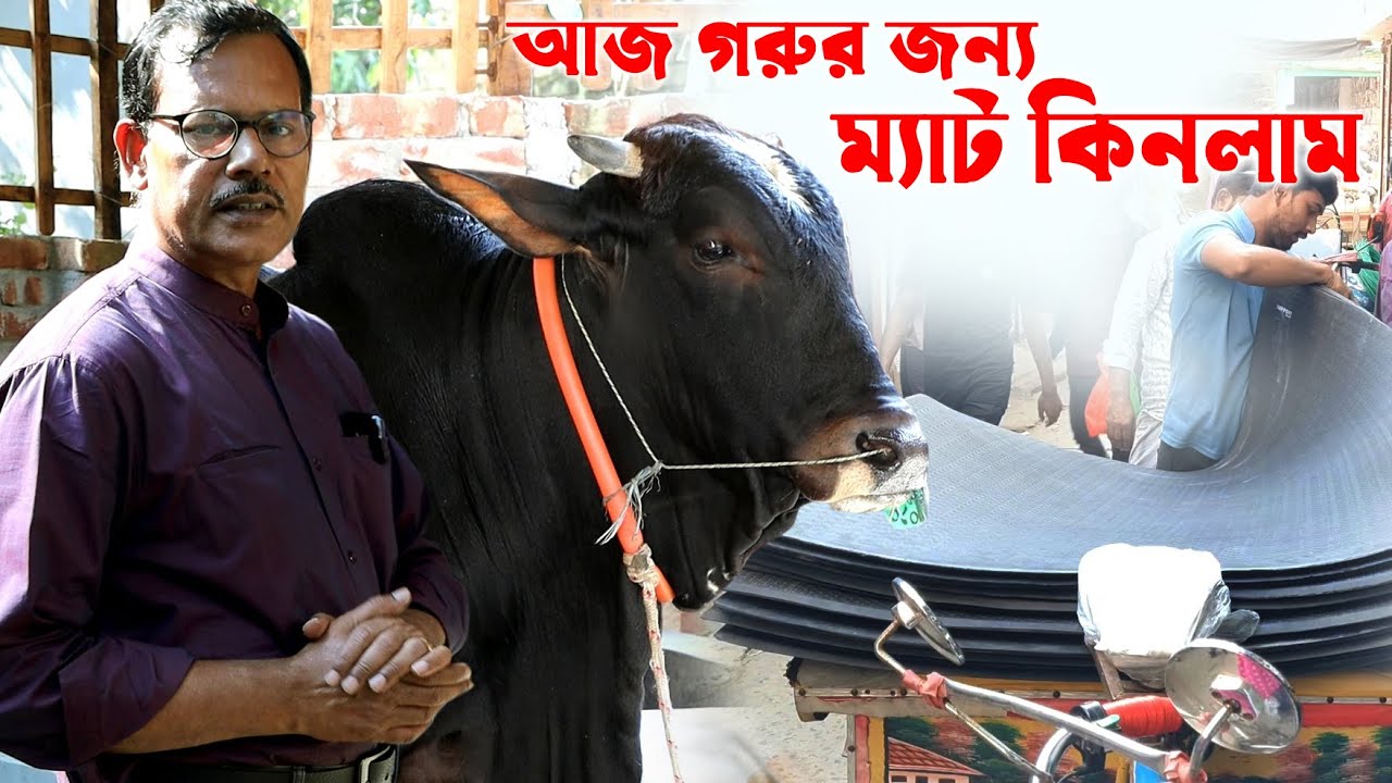966-আজ চিত্রপুরী এগ্রো ফার্ম এর গরুর জন্য ম্যাট কিনলাম- র.ই মানিক  R.I.Manik.Chitrapuri Krishichitra