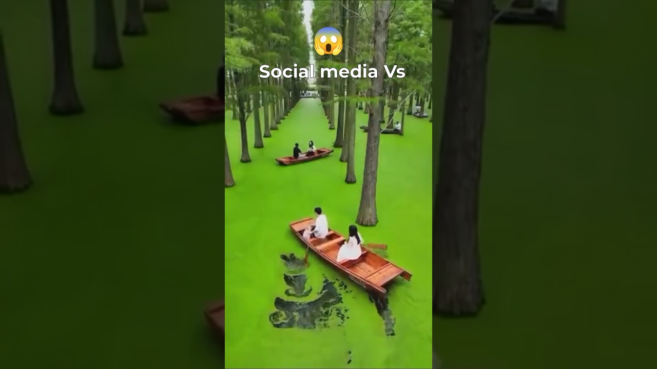social media vs reality funny