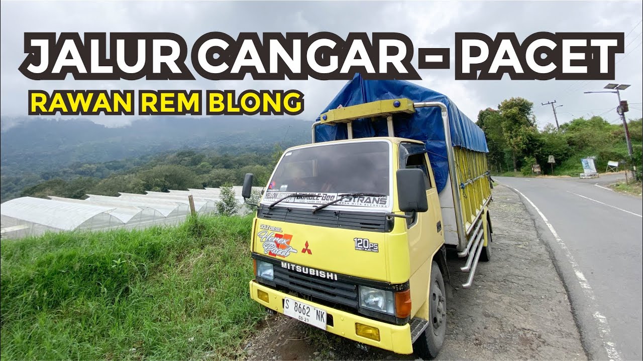 NEKAT LEWAT JALUR EKSTRIM RAWAN REM BLONG CANGAR-PACET !! Trip Truk Ragasa Lewat Jalur Hutan Cangar