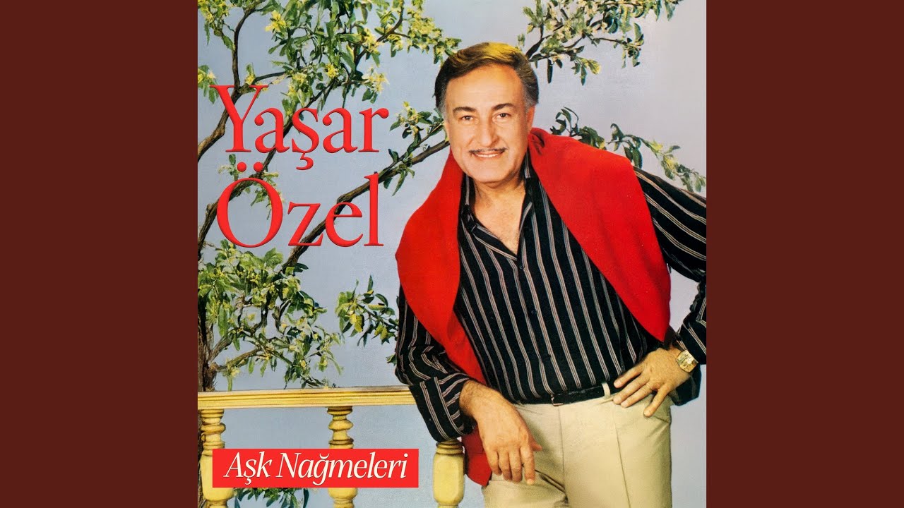 Şarkılar Yazdım Sana