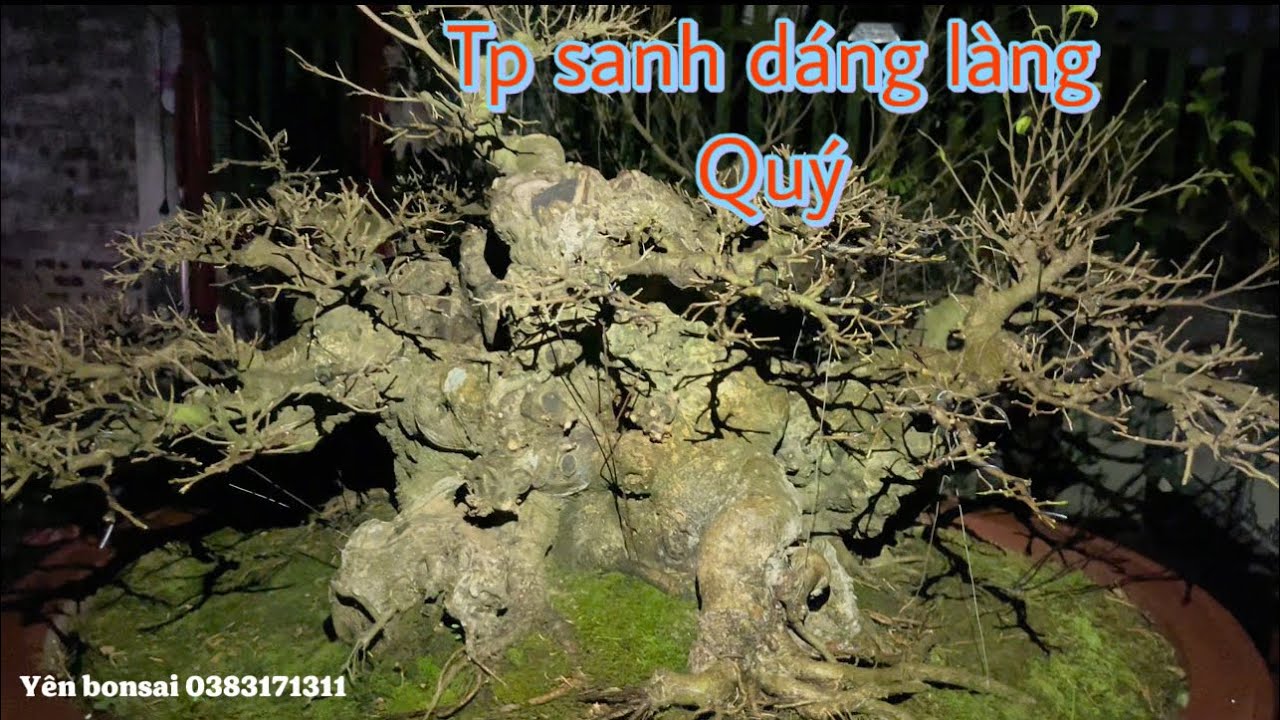 Tác phẩm sanh nam điền nu cục dáng làng chất lượng.