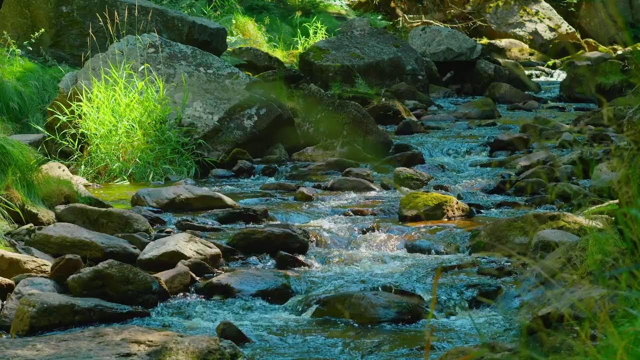 🌄 LIVE Mountain Creek for Manifestation — Relaxing Water Sounds to Attract Abundance & Believe in t