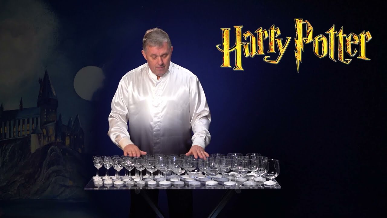 Hedwig's Theme (Harry Potter) - Igor Sklyarov, Glass Harp
