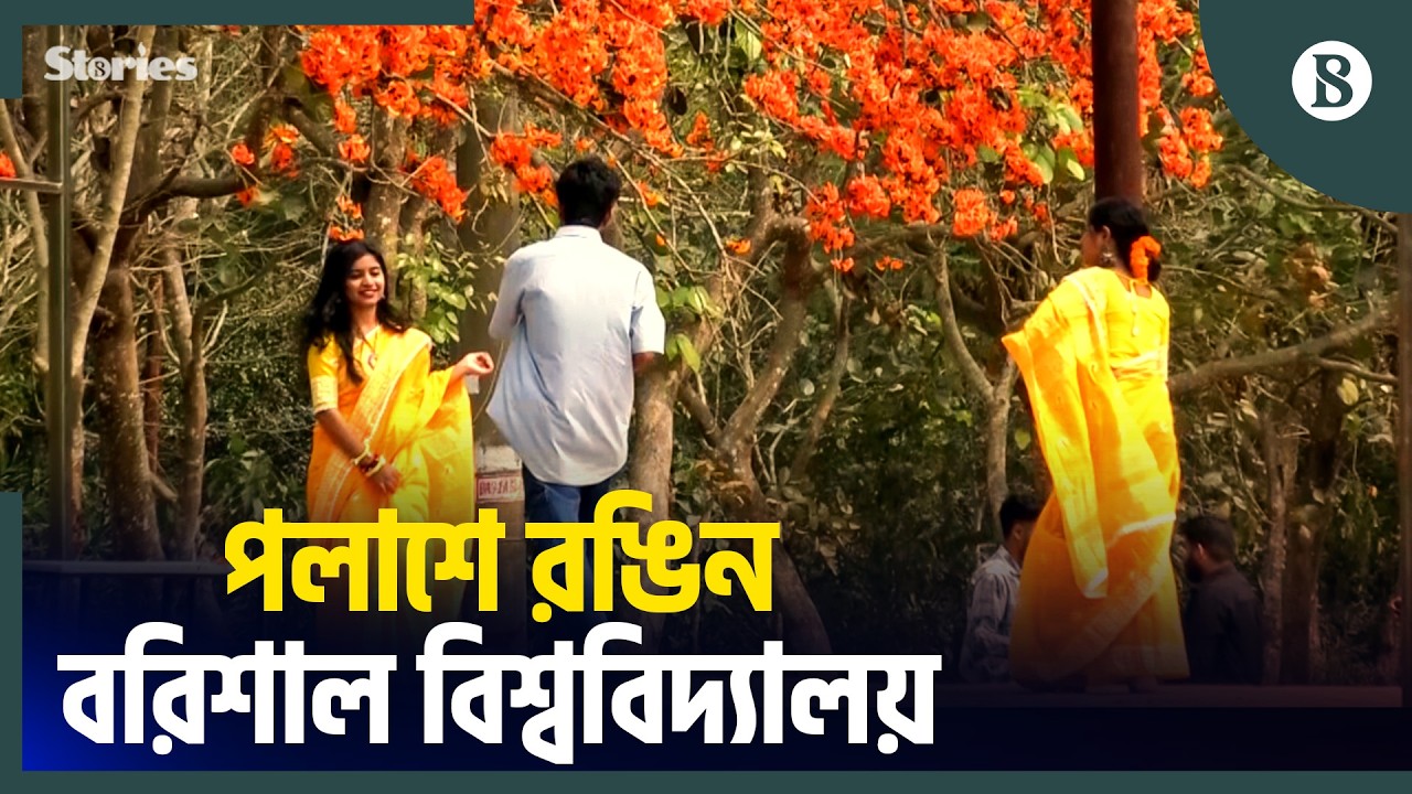 ৫৩ একরের বরিশাল বিশ্ববিদ্যালয়ে বসন্তের আমেজ | Spring at Barishal University | The Business Standard
