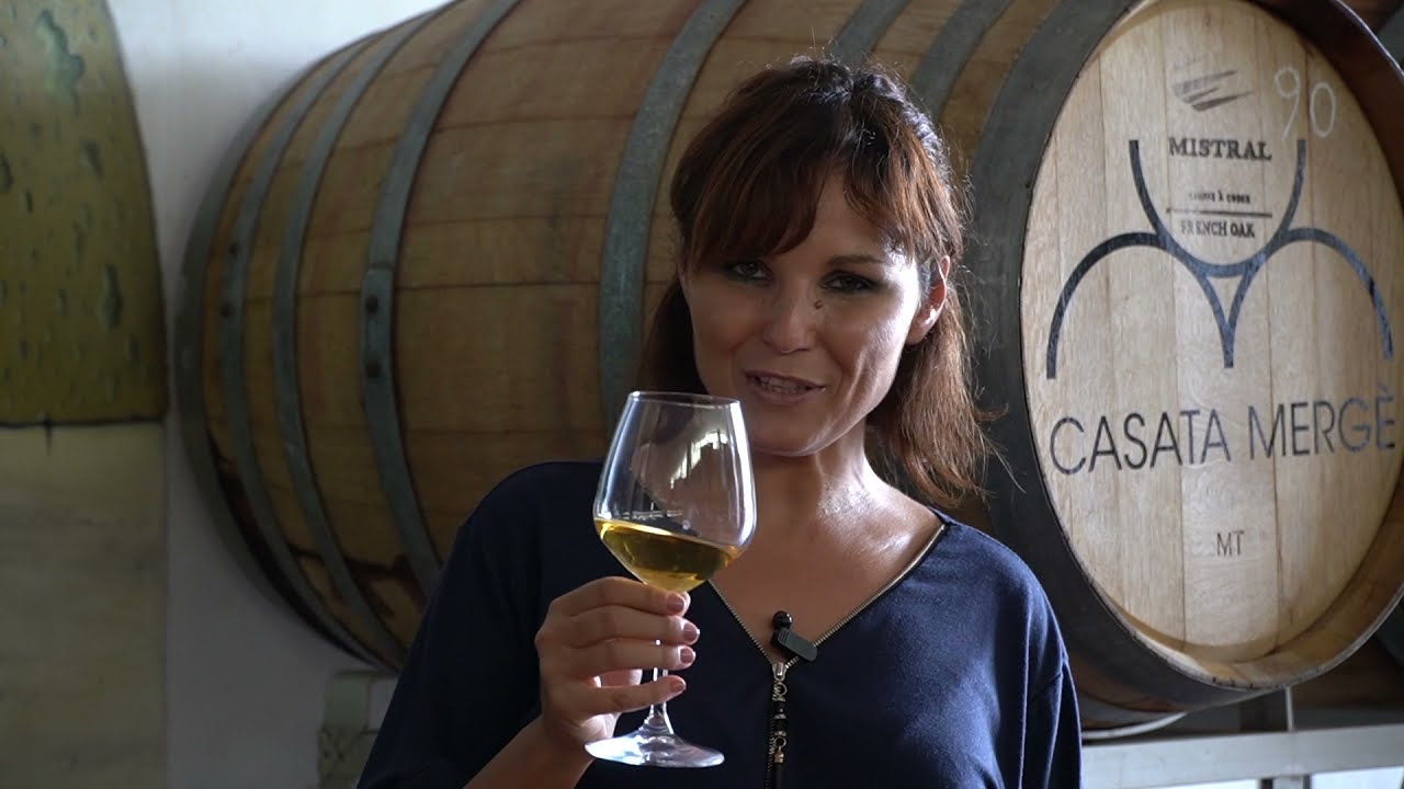 I VINI BIANCHI   MOSCATO DI TERRACINA DOC E FRASCATI DOCG