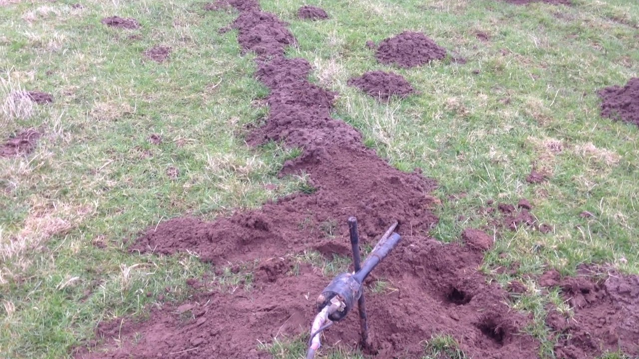 Blowing up mole tunnels with a Rodenator