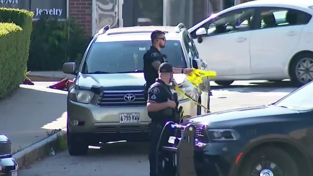 President Trump overturns pause of ICE vehicle stops