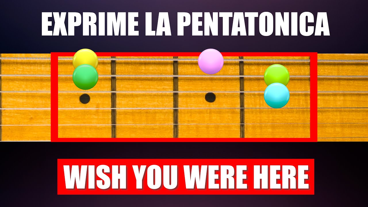 Solo 5 Notas: El Secreto Real de Wish You Were Here
