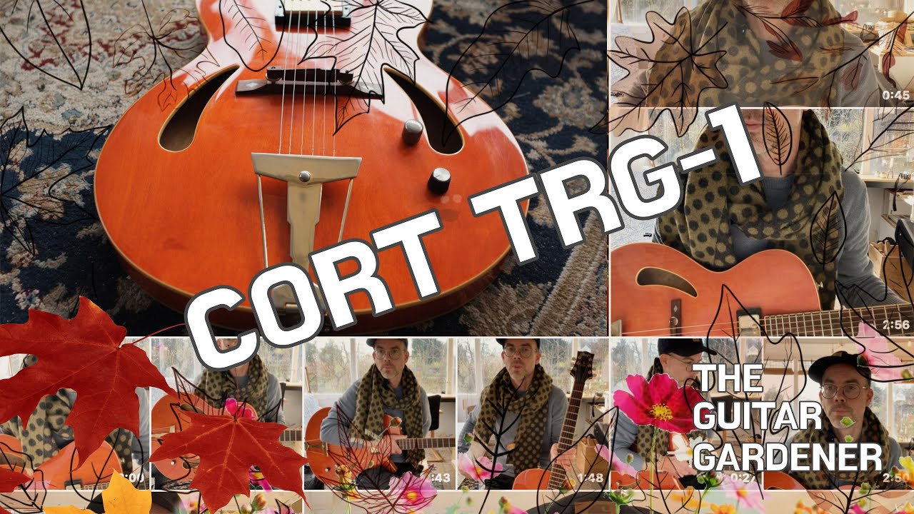 #6 Waking up the Cort TRG-1 (Jim Triggs) archtop guitar. Fantastic jazz guitar under 300 dollar!