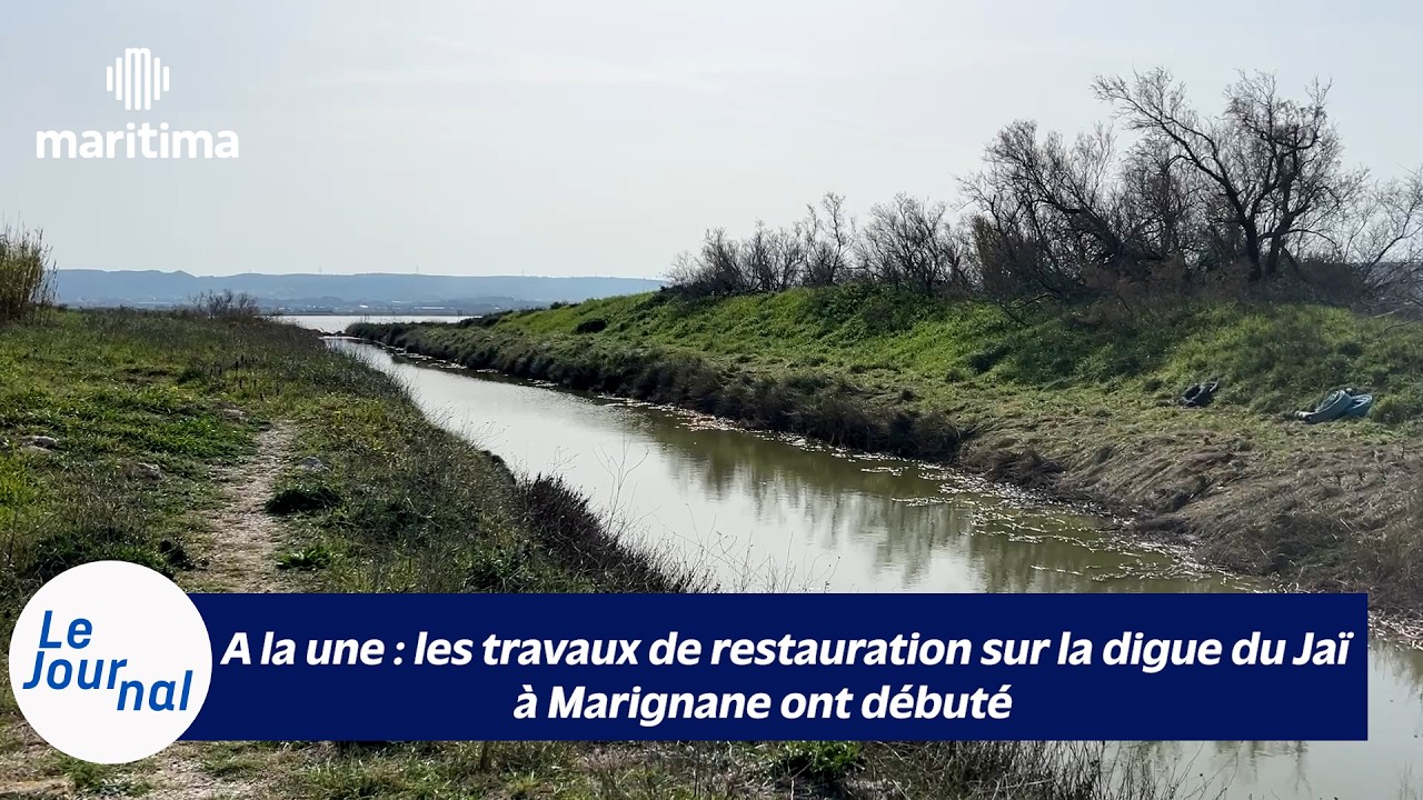 09/03/2026 - Le Journal Maritima TV