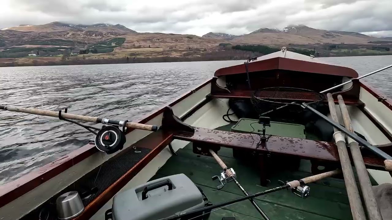 Diesel Spills, Rugby, and Brown Trout