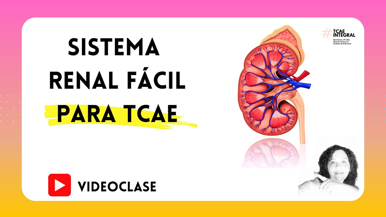 ✅ SISTEMA RENAL F&Aacute;CIL PARA TCAE 🏥 Auxiliar de Enfermer&iacute;a / Oposiciones y Pruebas Libres FP / PARTE 1