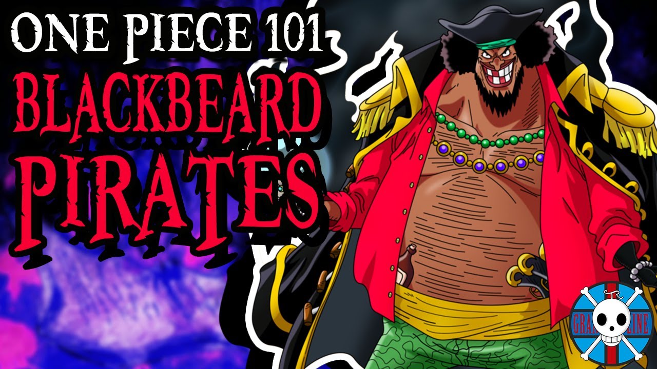 The Blackbeard Pirates Explained | One Piece 101