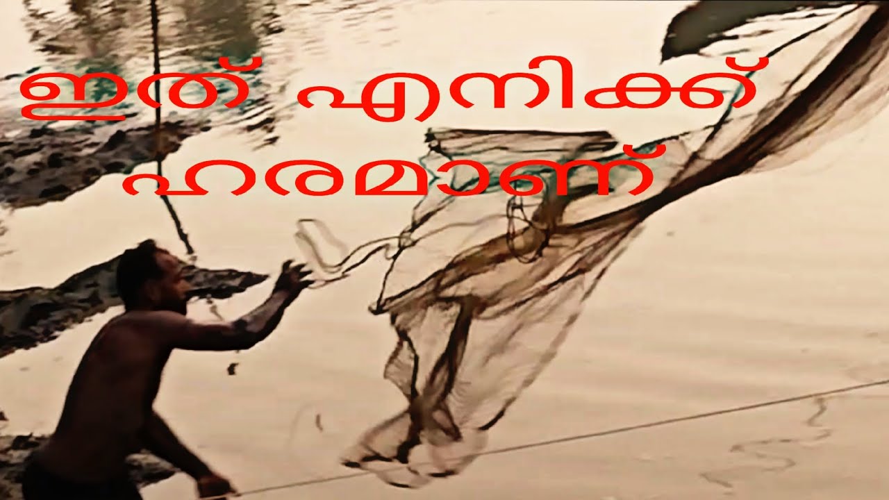 Netfishing#amazing #viralvideo വലിച്ചു കേറ്റടാ മോനെ #fishing #viral #vineeshthottappally🙏