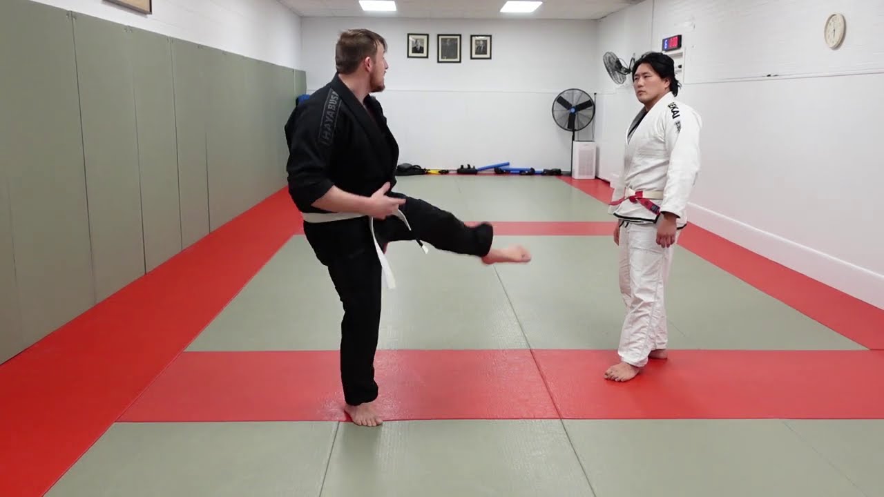 Best karate move for Grapplers