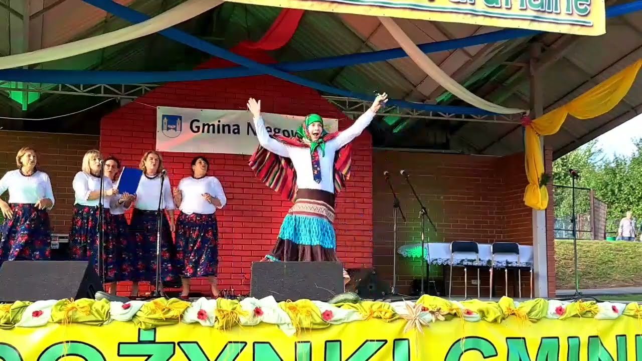 Dożynki Gminno-Parafialne NIEGOWA - Część artystyczna, występy KGW.