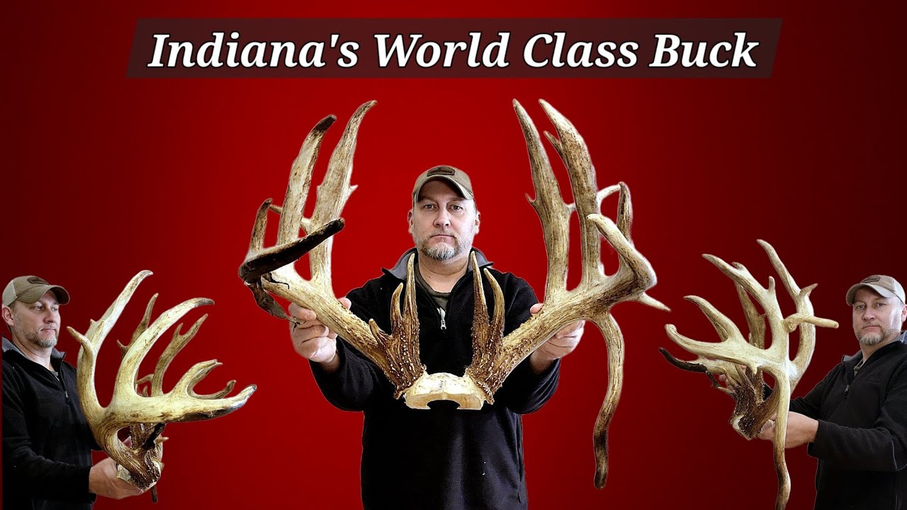 The Woodbury Giant World Class Nontypical Whitetail From Indiana 2009 Bow Kill Gross In The 240's