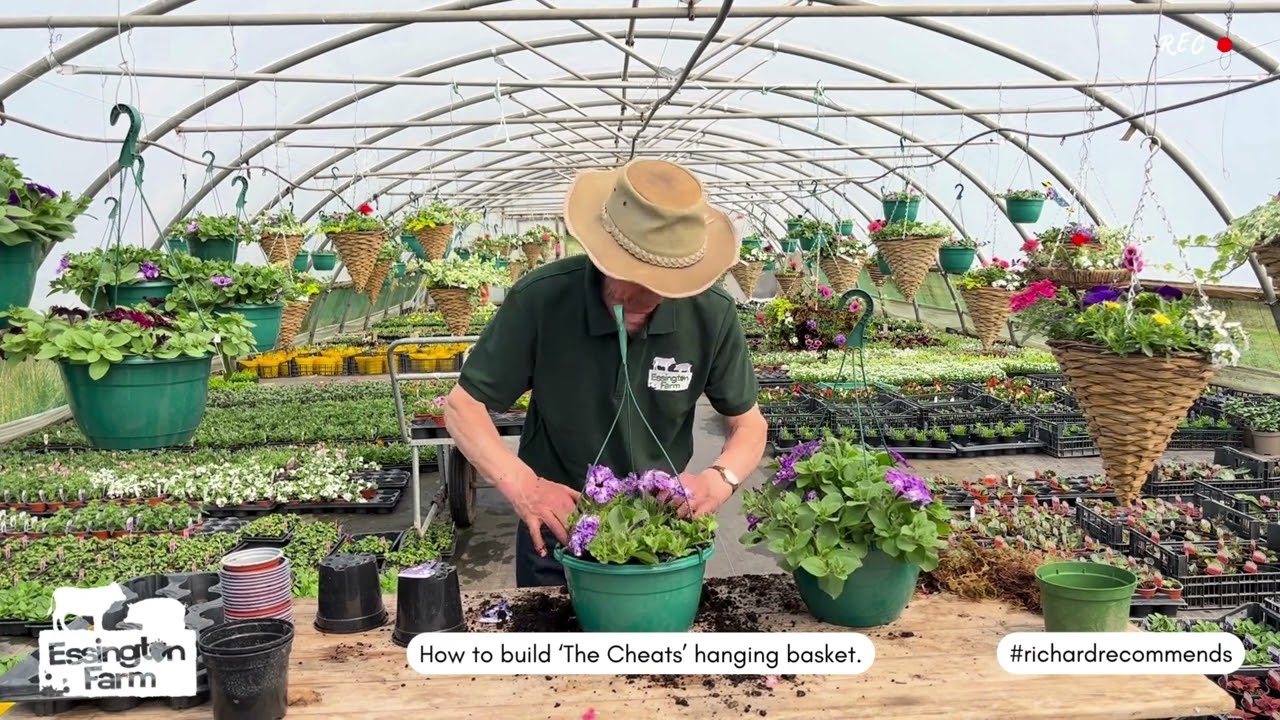 Richard demonstrates how to build the cheats hanging basket.