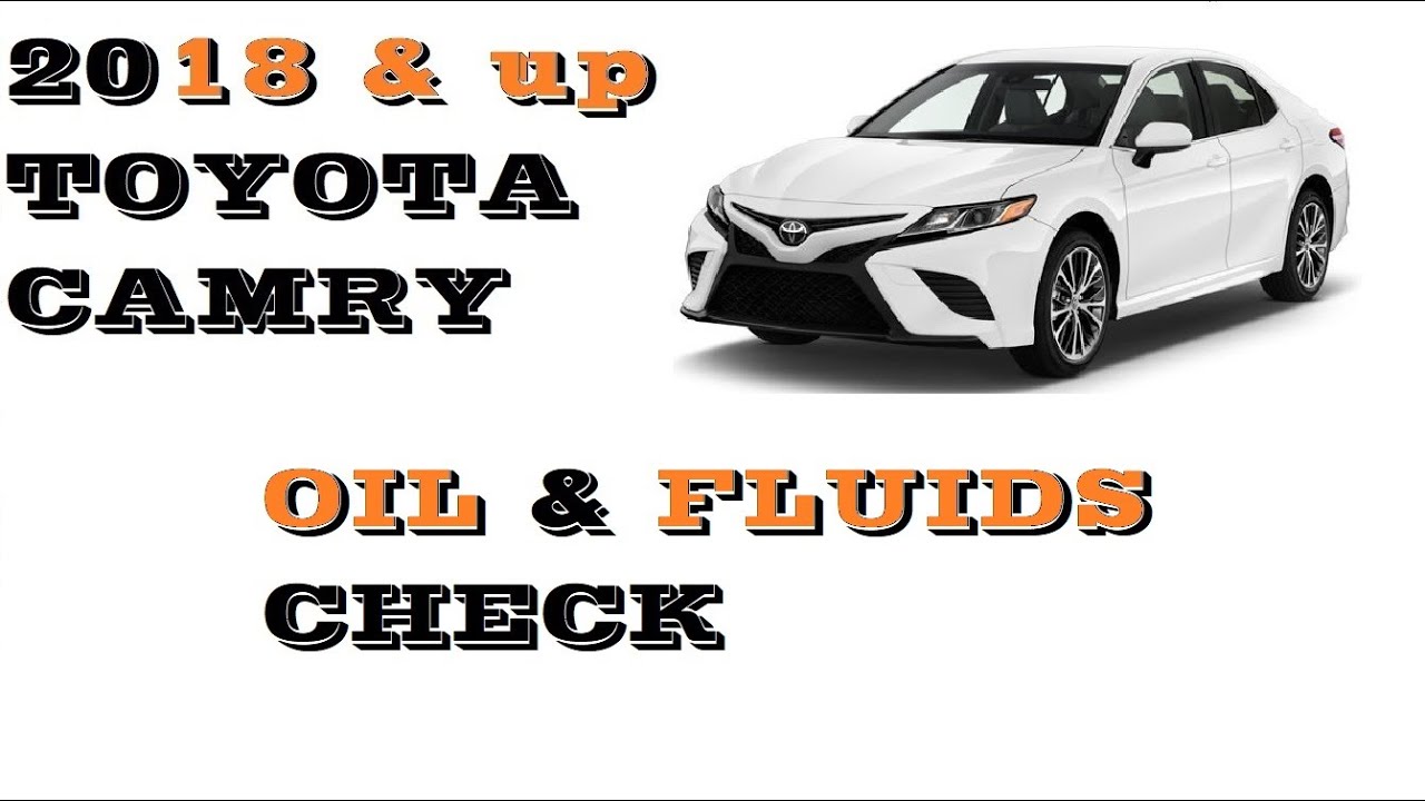 How to check oil & fluids in Toyota Camry 2018-2023