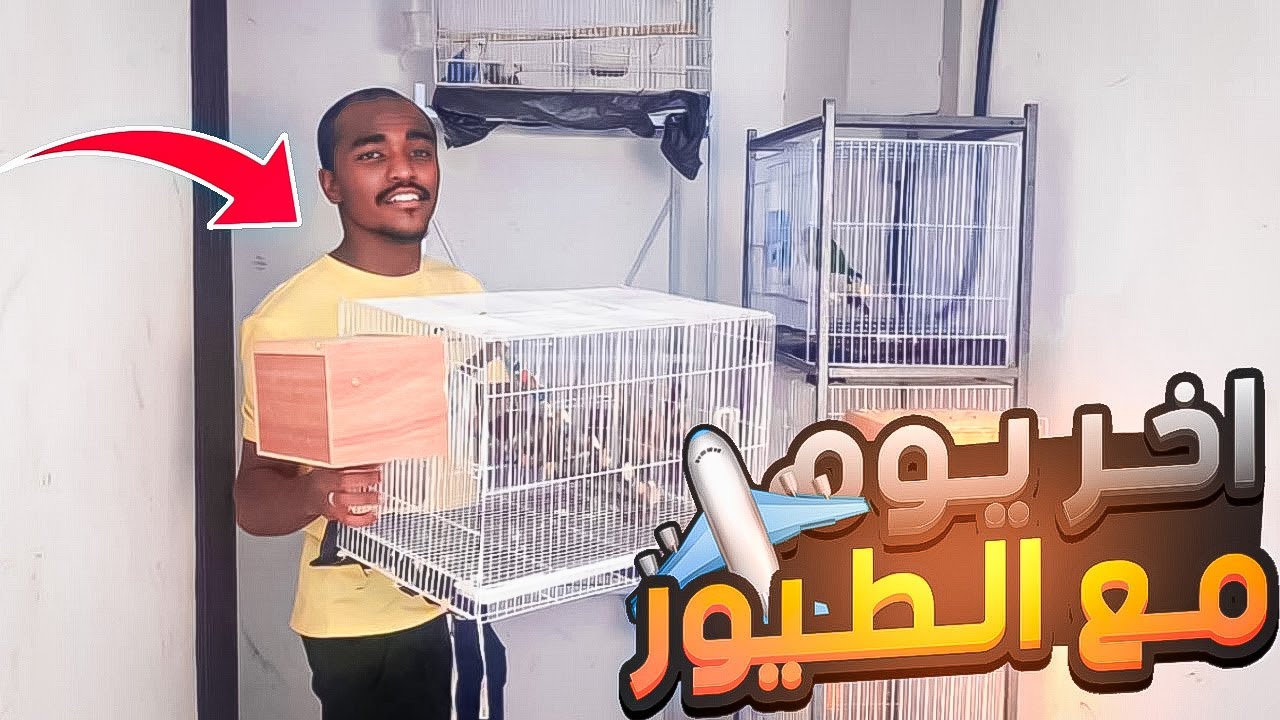يومي مع الطيور #5