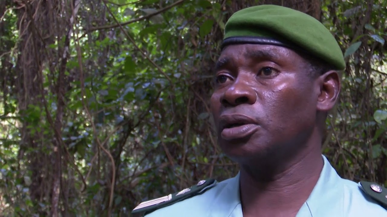 Excursion au Parc national du Banco, la toute première aire protégée de la Côte d'Ivoire (Escale 225