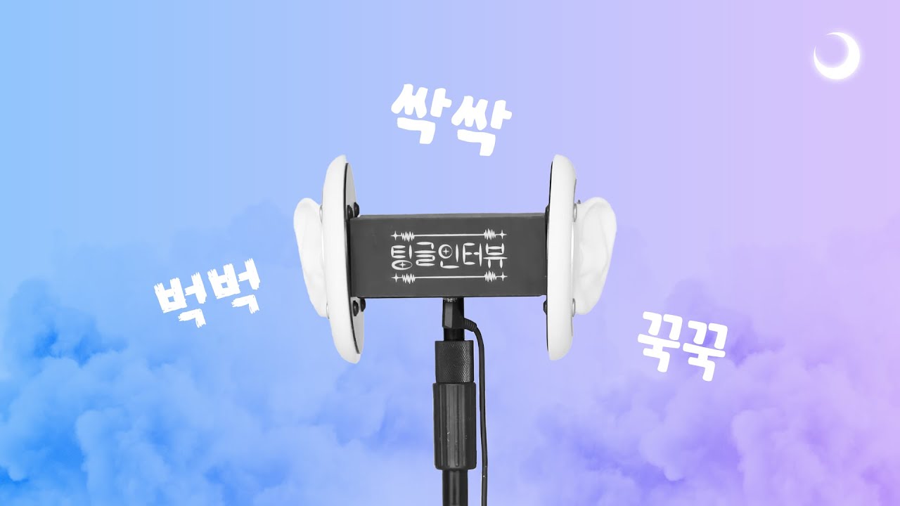 [ASMR] 취향의 ✨거친✨ 남자 아이돌 팅글인터뷰 모음