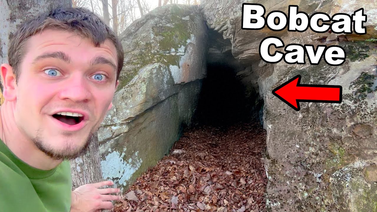 I Discovered a Bobcat Cave on My Hunting land!