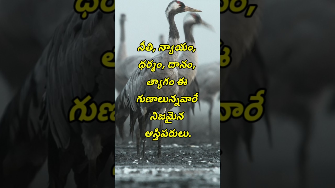Neethi vakyalu #3837 | jeevitha satyalu | quotations | manchi matalu | top matalu | telugu sukthulu