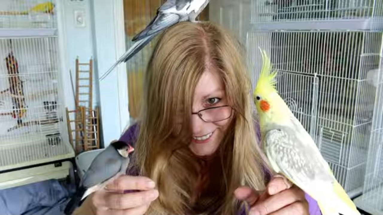 A typical day in the Bird Room from morning to evening