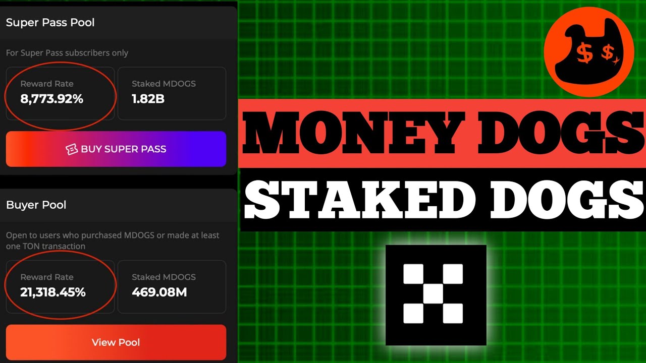 How to Stake in Money Dogs Pools | Super Pass, Buyer Pool & NFT Rewards Explained