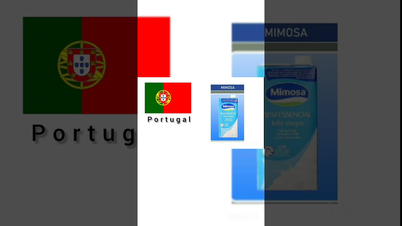milk brands in Portugal #worlddata #listdata #subscribe #subscribe